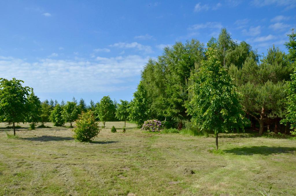 Apartment Field
